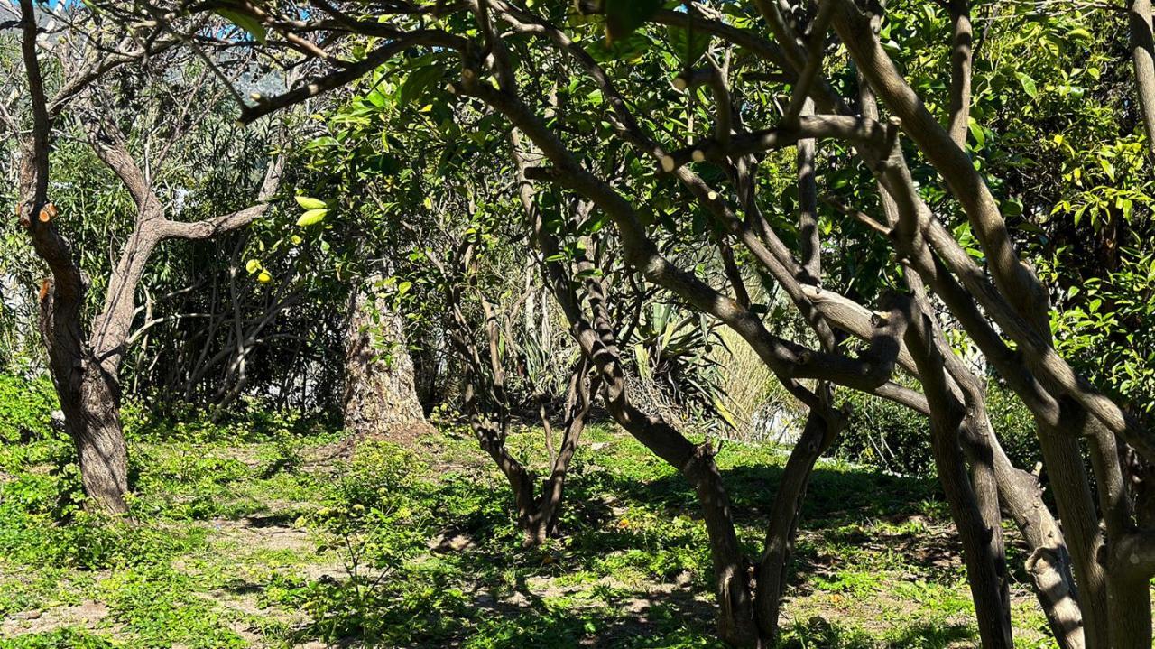 Villa La Milanina Lipari  Extérieur photo